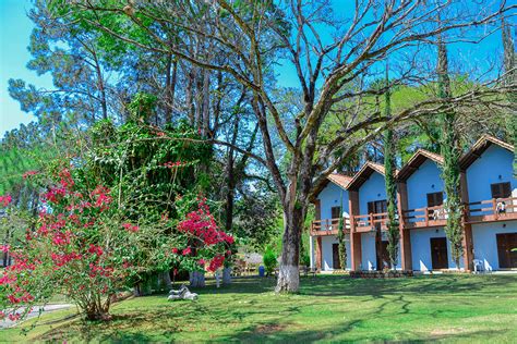 7 Hotéis Fazenda próximos a SP que aceitam animais .